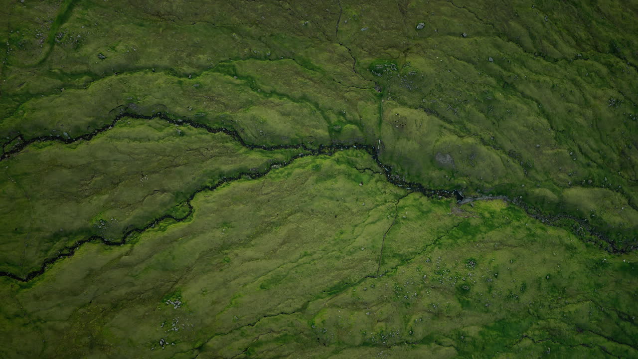 Aerial View of a Winding Stream Through a Green Mossy Landscape