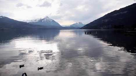 Sonnenuntergangreflexionen-Auf-Schönem-See,-Schweiz,-Naturreservat-Weissenau