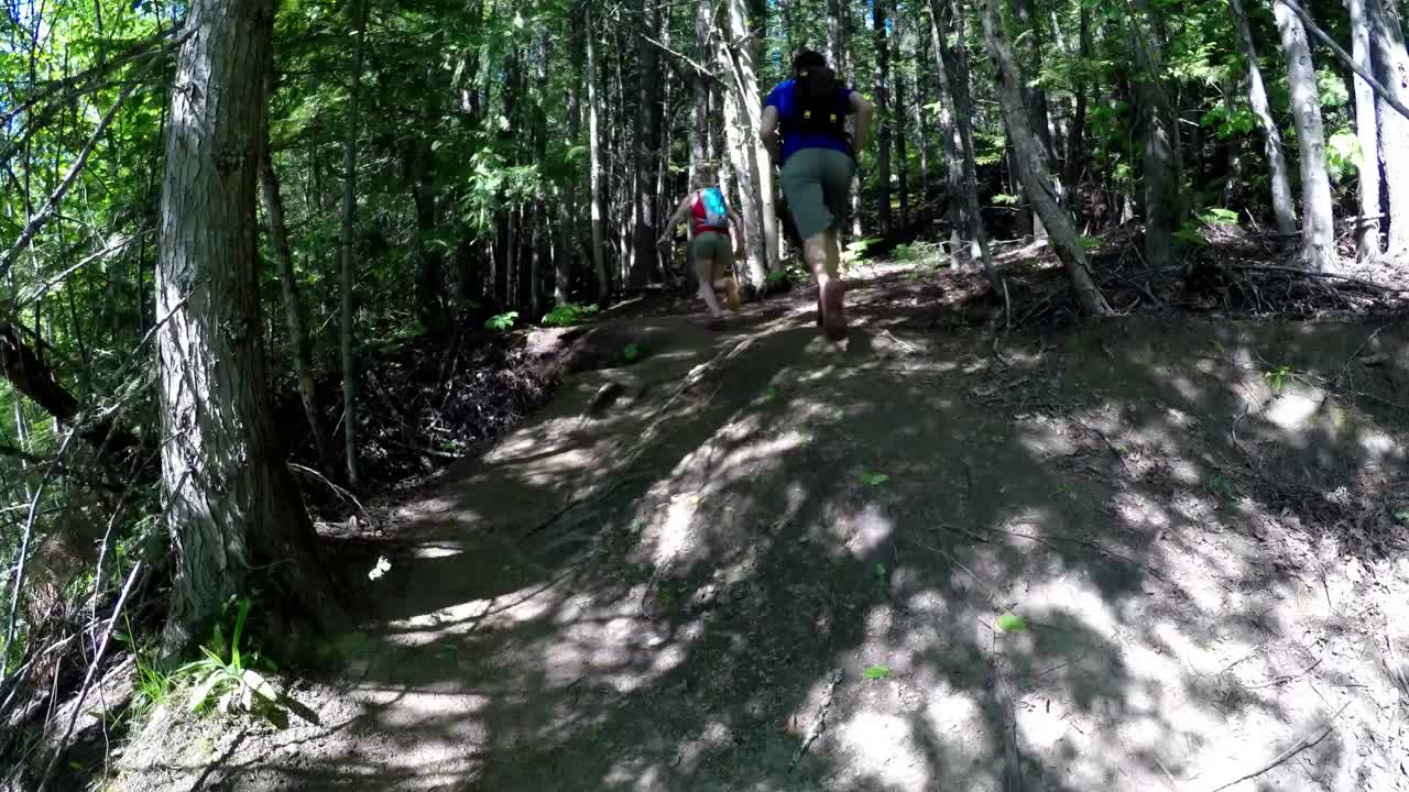pareja corriendo en el bosque 4k