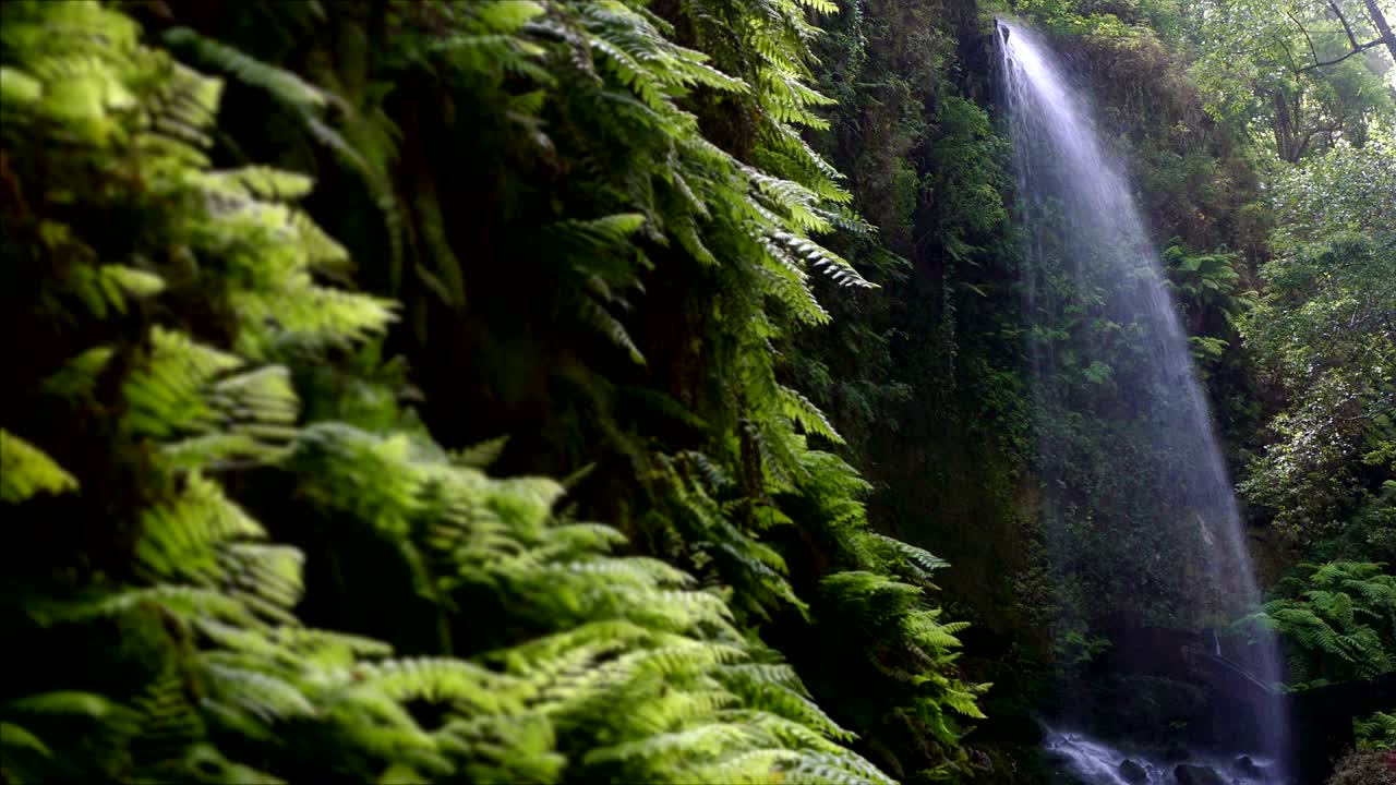 Waterfall "The Lindens",in Island of La Palma, Canary Islands, Spain.