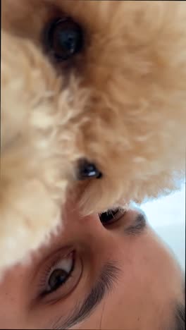 dog and person