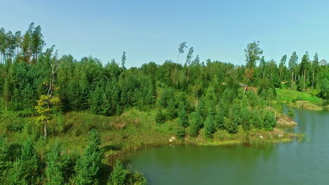 Bosques-Verdes-En-El-Borde-Del-Estanque,-Vista-De-Drones-En-ángulo-Lento