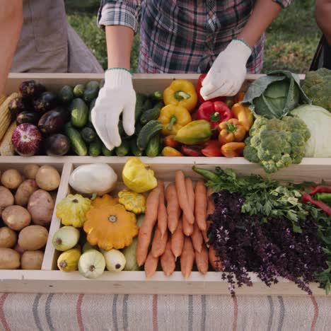 Sellers-at-the-farmers-market-put-vegetables-on-the-counter-1