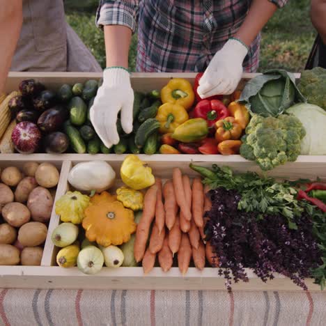 sellers at the farmers market put vegetables on the counter 1