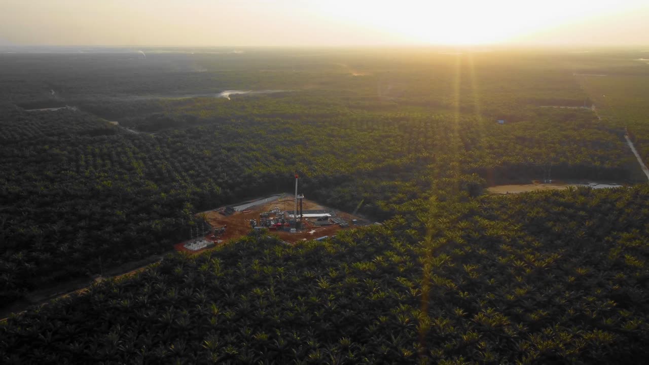 imágenes cinematográficas de drones de 4k de la estructura del equipo de la plataforma de perforación en tierra para la exploración y explotación de petróleo en medio de la jungla rodeada de palmeras durante la puesta de sol y el alto precio del petróleo