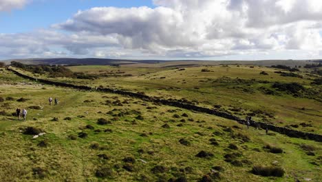 vista aérea de la gente caminando en wistman's wood dartmoor inglaterra