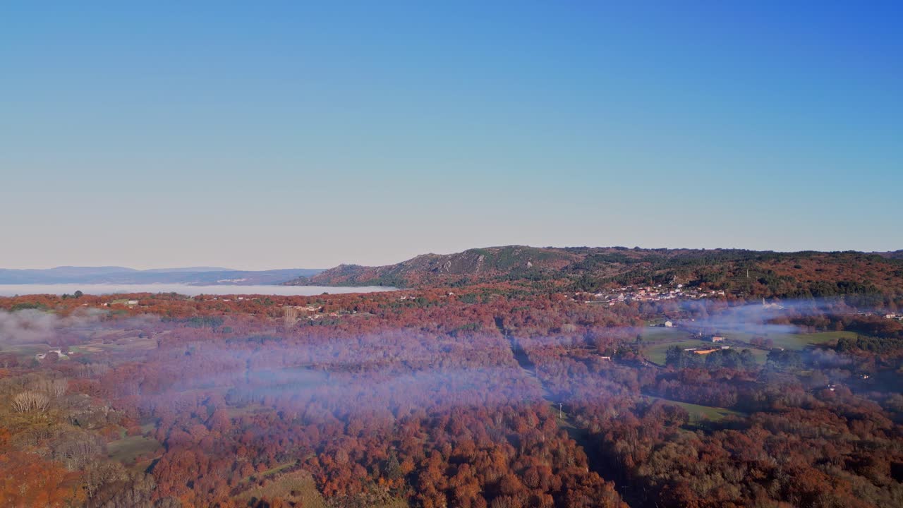 은 날에 갈색 잎 나무로 커다란 숲을 고 있는 안개의 공중 풍경