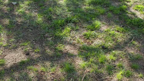 de cerca: colisión de una pelota de fútbol en el césped