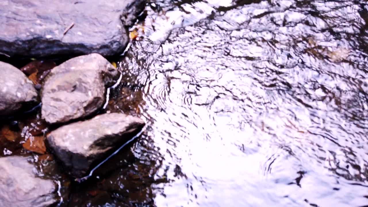 panning up in slow motion to see the creek upstream in the distance