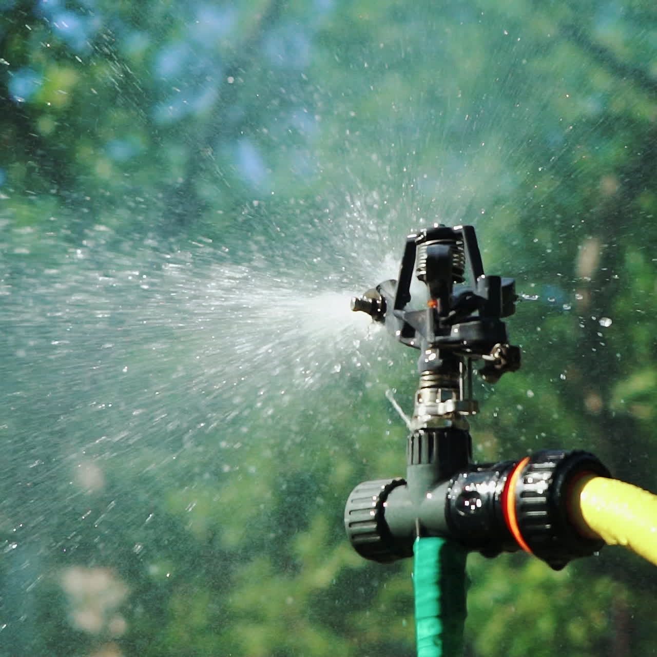 Slow motion. Garden Irrigation Sprinkler watering lawn. Close-up shot