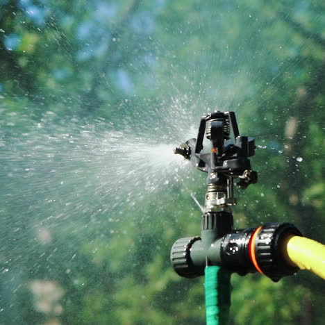 slow motion. garden irrigation sprinkler watering lawn. close-up shot