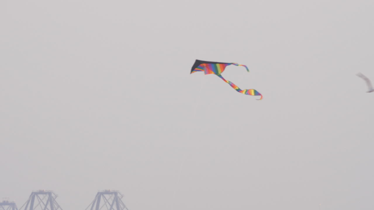 Rainbow kite flying in strong wind