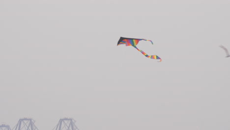 rainbow kite flying in strong wind