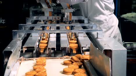máquina industrial está produciendo galletas y está siendo controlada por una trabajadora