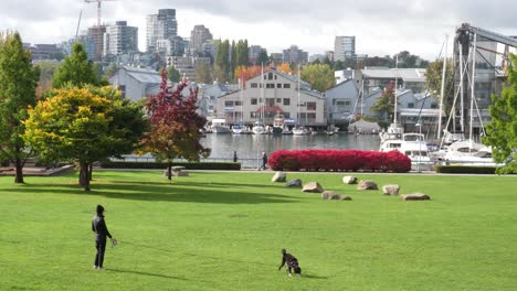 Person-Geht-Im-Herbst-Mit-Hund-Im-Park-Spazieren