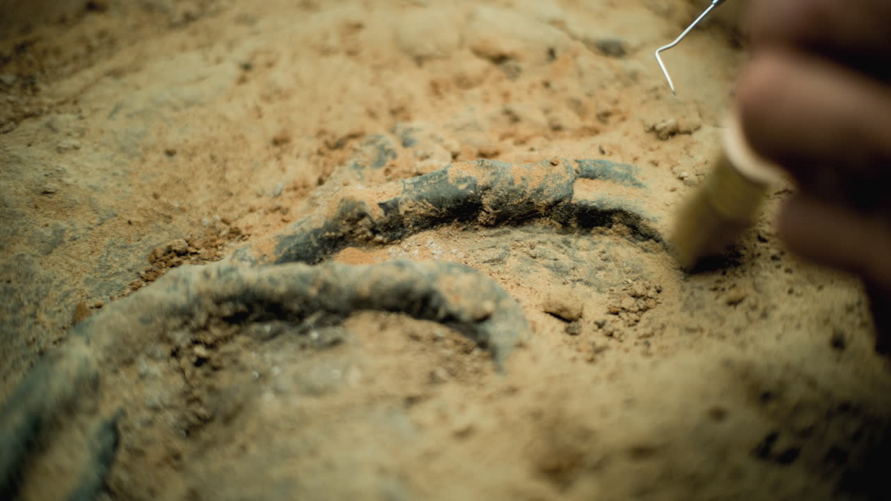 공 발자국 발굴