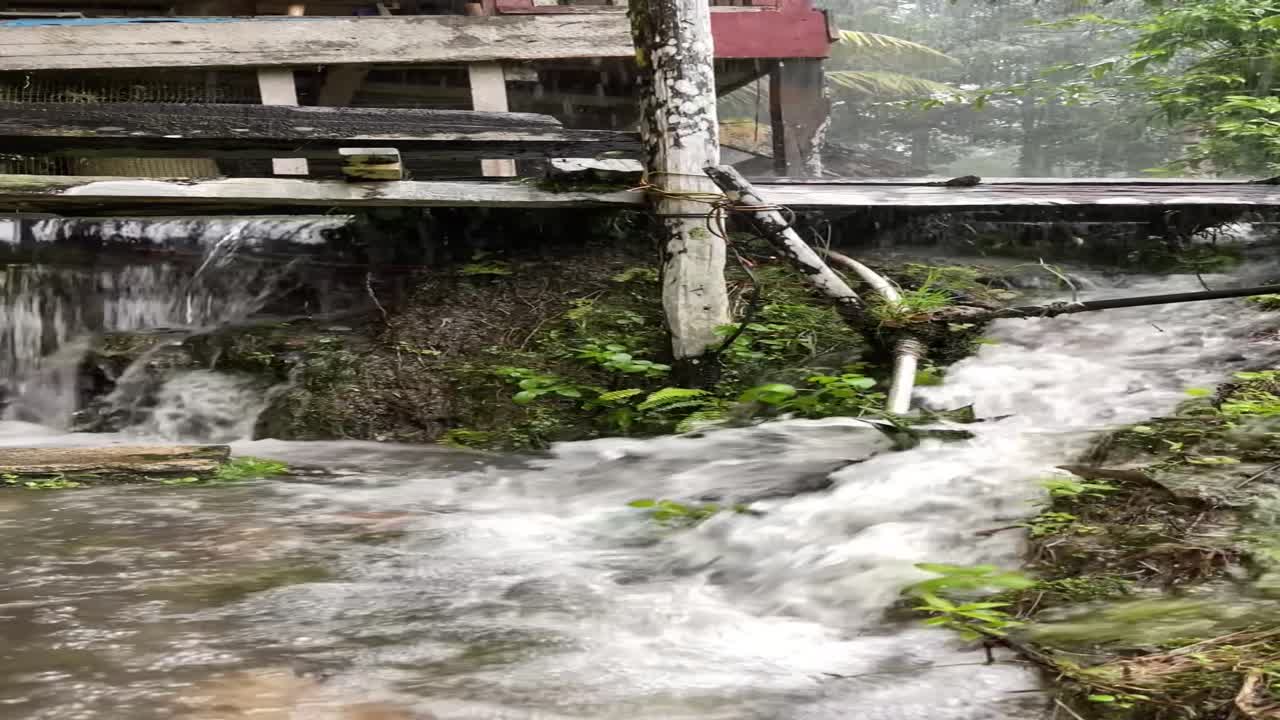 Heavy Rain House Flooded By Water Monsoon Seasion Tropical Rainforest Asian,Lundu,Kuching,Sarawak