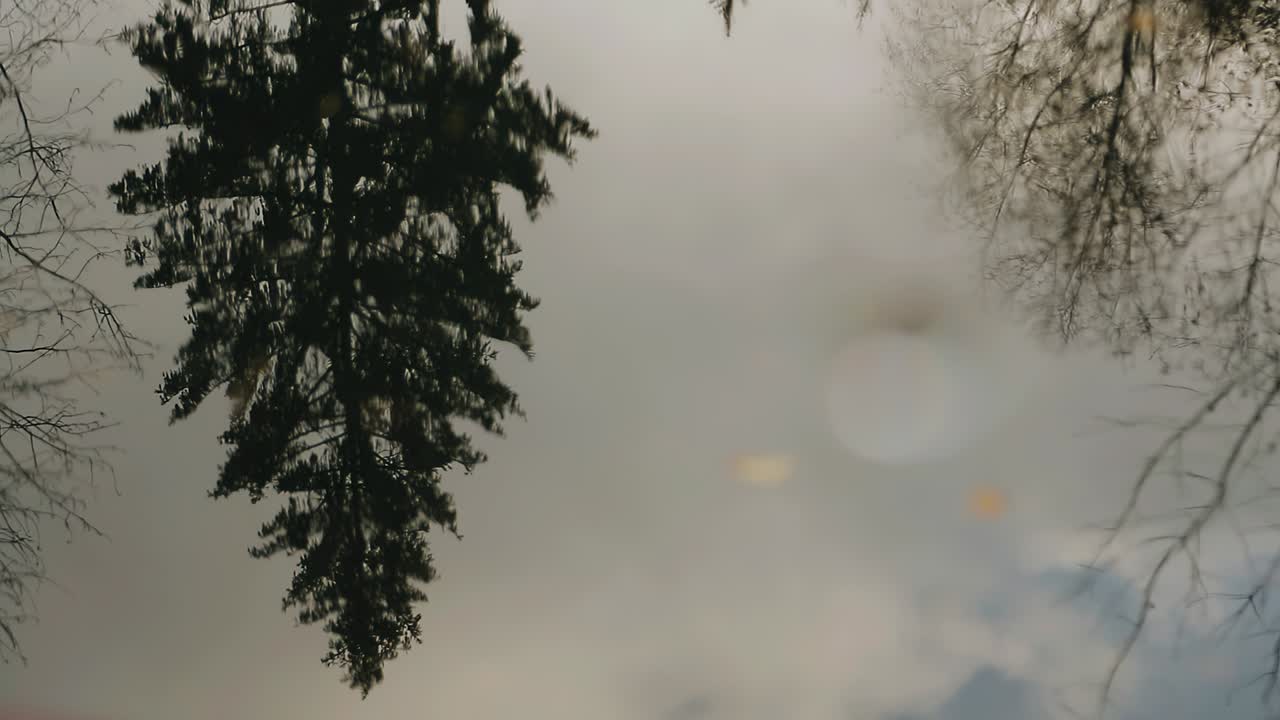 연못 근처의 결혼 아치를 장식하는 세부 사항의 클로즈업 촬영. 아름다운 장식