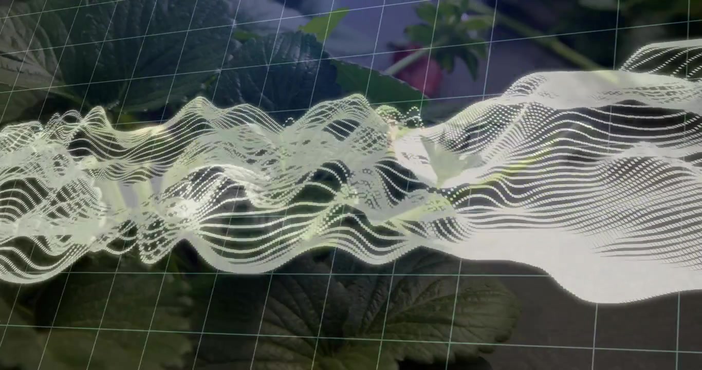 On play sheer waveform ribbon evolving over plants, aligning highlights near pink bud for design