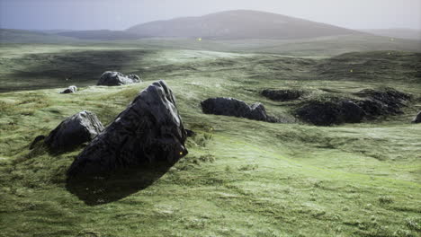 Hermoso-Paisaje-Dramático-De-Verano-Al-Aire-Libre