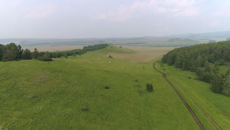 aerial view of a green field and dirt road