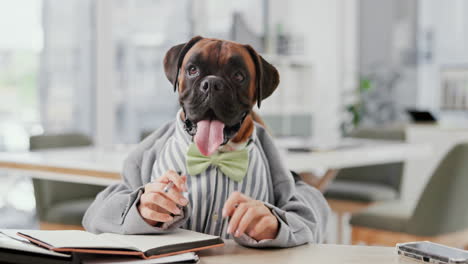 a boxer dog in a business suit writing at a desk