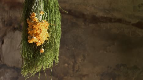 Drying-oxeye-chamomile,-field-horsetail-in-an-old-country-house