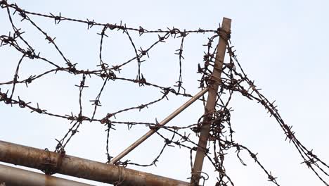 RACK-FOCUS-Tangled-Barbed-Wire-On-Top-Of-A-Fence