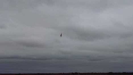 Lockheed-Martin-F-35-Lightning-Ii-En-Movimiento-De-Guiñada-Durante-El-Espectáculo-Aéreo