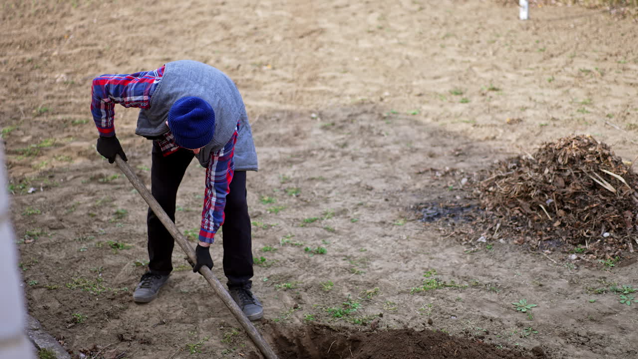 Senior male uses a shovel to dig a hole in the ground. Farmer preparing soil for planting trees.