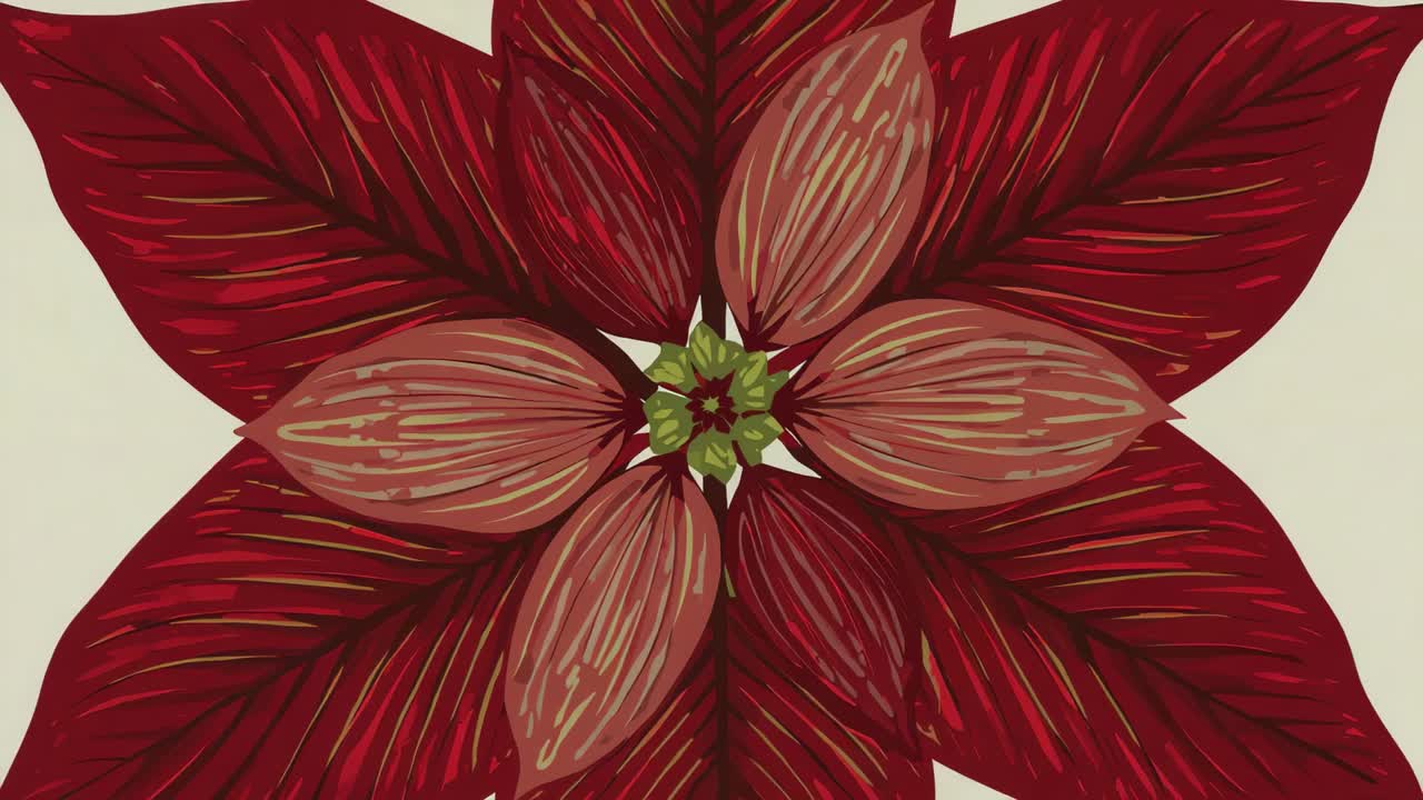 Rotating flower after frames start on cream canvas, petals reconfiguring around green center