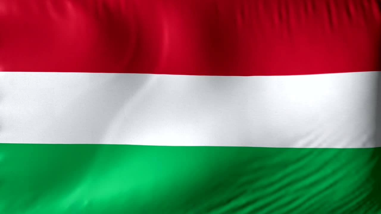 가리 국기: 가리의 국기, 가리와 가리가 는 그리 국기