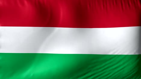 bandera nacional de hungría. bucle sin costuras 4k completa bandera húngara realista agitando contra el fondo.