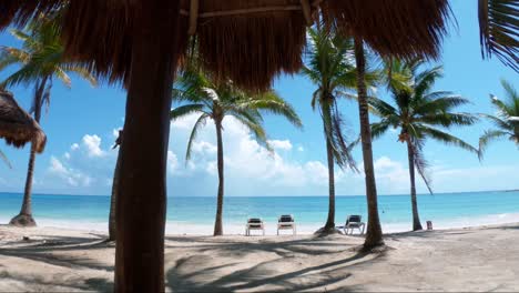 gorgeous tilting down shot of a tropical beach with white sand, palm trees, and turquoise water on the beautiful playa del carmen in riviera maya, mexico near cancun on a sunny summer day on vacation