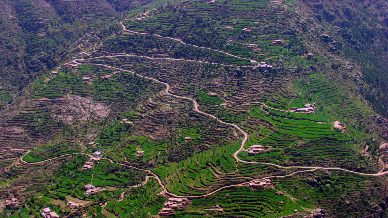 vista aérea de caminos estrechos de montaña y bosques en cachemira, india