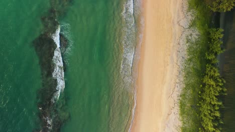 Tropischer-Abgelegener-Strand,-Verstecktes-Paradies,-Luftaufnahme-Von-Oben,-Unberührter-Strand-Mit-Pinien,-Wunderschöner-Unberührter-Sand,-Türkisfarbenes-Kristallklares-Wasser-Und-Ein-Korallenriff,-Unberührte-Natur