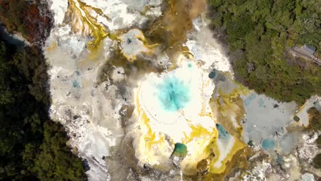 impresionante área geotérmica colorida con aguas termales de vapor esmeralda, terraza de sílice, piscinas de barro y géiseres