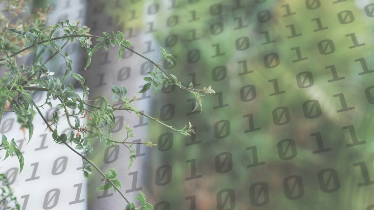 Light breeze nudging branch swaying, binary grid moving and intensifying, showing nature-data link