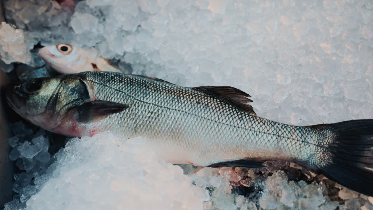 Close up of a freshly caught fish displayed on ice at a local seafood stall