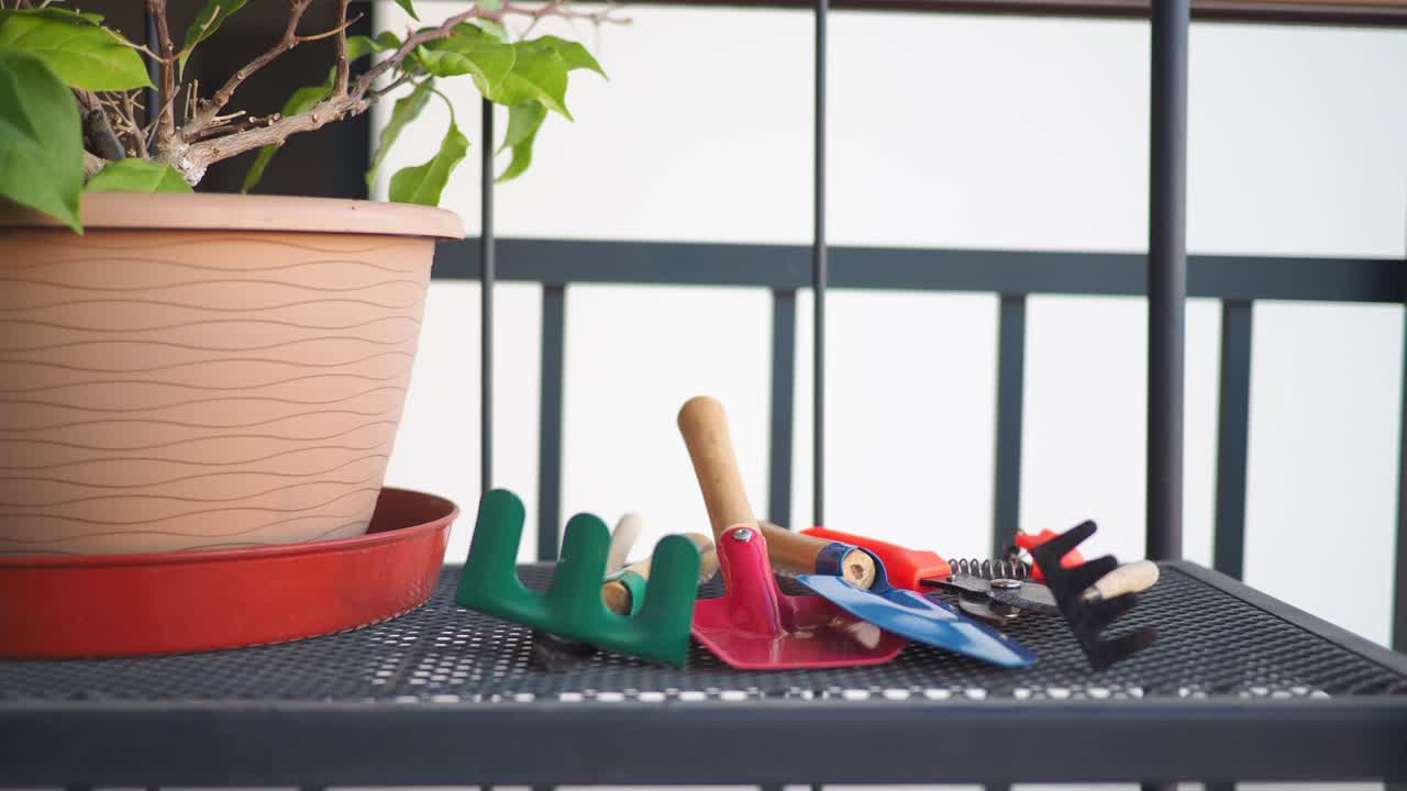 Plant pot with gardening tools on balcony