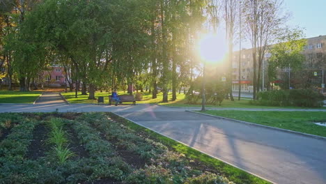 escena del parque de la ciudad con una persona sentada en un banco