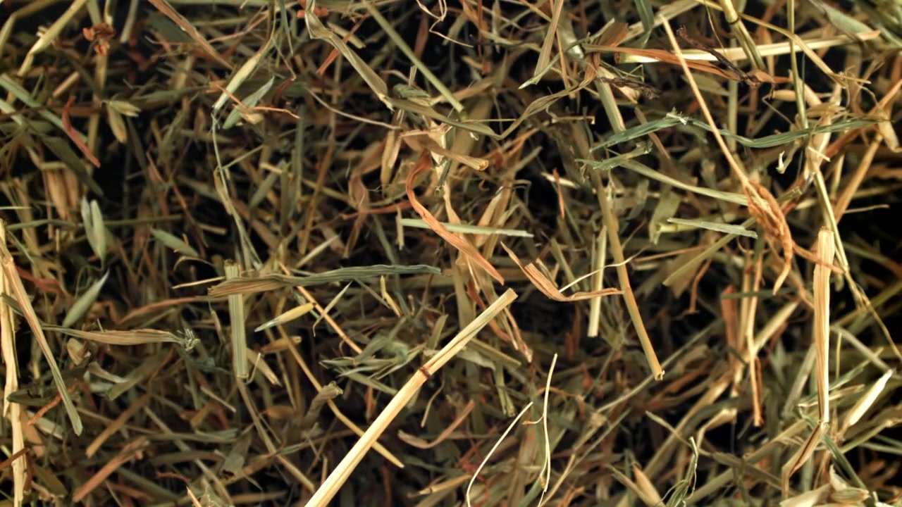 Close Up View of Dry Hay Texture