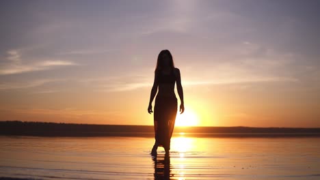 front footage of a gorgeous woman's silhouette step on a water in the morning or evening dusk. slender girl in a yoga pants