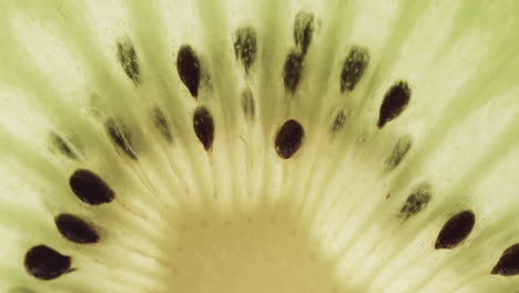 microvideo de primer plano de una rebanada de fruta de kiwi con espacio para copiar