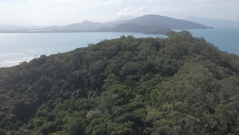 澳洲金伯利附近斯納珀島 (snapper island) 的茂密綠色植被