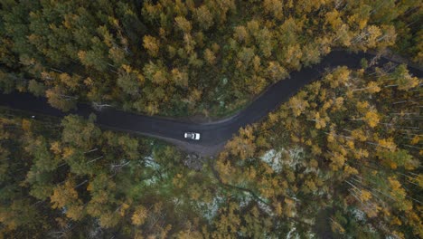 aerial fall top down shot following car drive on alpine loop road canyon