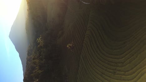 Los-Brillantes-Rayos-Del-Sol-De-La-Mañana-Iluminan-Terrazas-De-Arroz-Ubicadas-En-La-Ladera-Del-Volcán-Cubierta-De-Selva,-Bali,-Indonesia