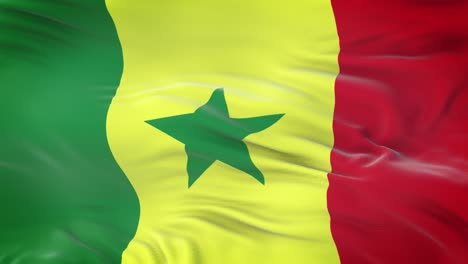 senegal flag waving in the wind with highly detailed fabric texture. seamless loop