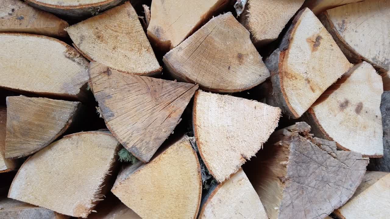 Closeup of logs of trees in nature. a lot of cutted logs