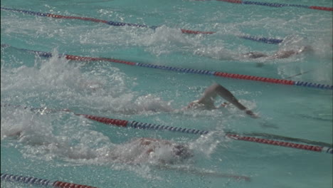 Swimmers-swim-to-the-other-side-of-the-pool